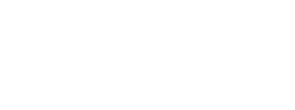 Logo Borgatti Consulting