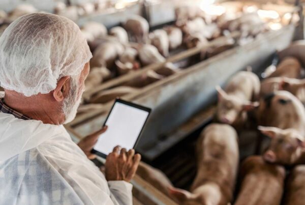 Indústria veterinária: operações mais previsíveis